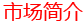 市场简介