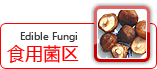 食用菌区